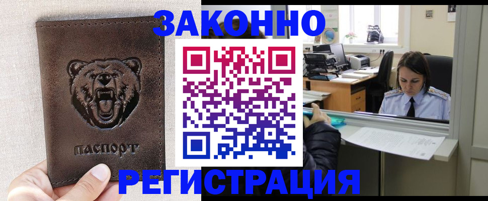 прописка 2025 в Новозыбкове